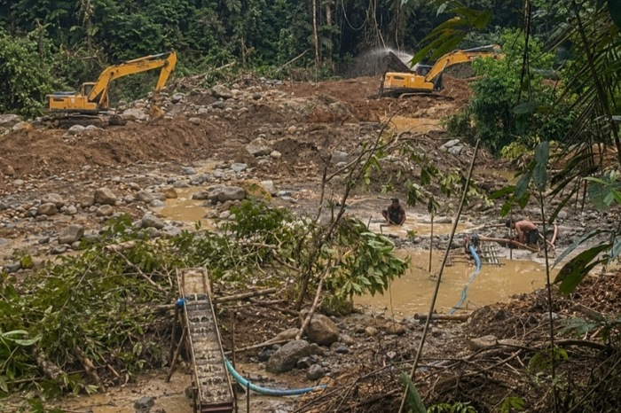 Diduga Dibiayai Pemodal Inisial H, Peti Sipayo Parimo Rambah Kawasan Hutan Produksi