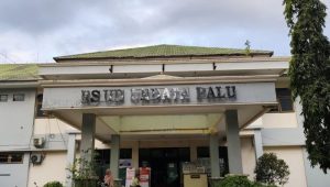Nakes RSUD Undata Keluhkan Jasa Layanan dan Minimnya Transparansi, Direktur Buka Suara