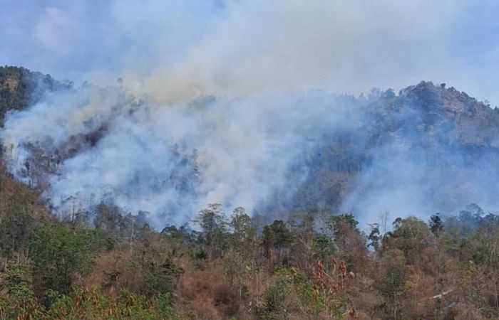 Kebakaran Hutan di Longge Tojo Una-Una Hanguskan 3 Hektare Lahan