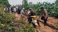 6 Titik Longsor Tutup Trans Sulawesi di Kasimbar Parimo, Satu Jembatan Dibatasi