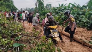 6 Titik Longsor Tutup Trans Sulawesi di Kasimbar Parimo, Satu Jembatan Dibatasi