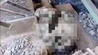 Pelukan Terakhir Ibu dan Bayinya di Bawah Reruntuhan Gempa NTT