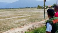 9.100 Titik Panas Terdeteksi di Sulteng, 13 KPH Dikerahkan Cegah Karhutla