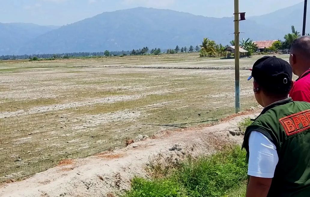9.100 Titik Panas Terdeteksi di Sulteng, 13 KPH Dikerahkan Cegah Karhutla